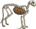 Spoop