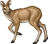 Cervinus Deer